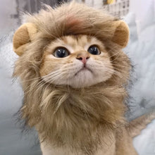 Lion Mane Cat Costume