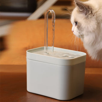 Pet Water Fountain Dispenser