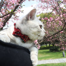 Red Striped Puppy Cat/Small Dog Collar