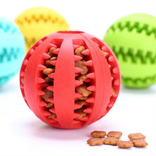 Interactive Rubber Pet Dog Toy