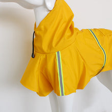 Spring and Summer Dog Raincoat