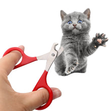 Cat Nail Clippers Small Dogs