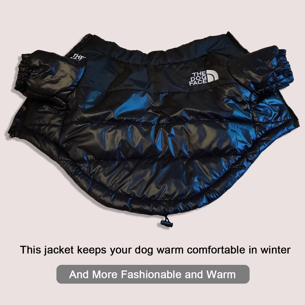 Windproof Reflective Dog Jacket