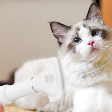 Portable 2-in-1 Pet Hair Dryer