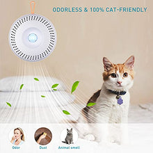 Smart Odor Eliminator for Litter Box