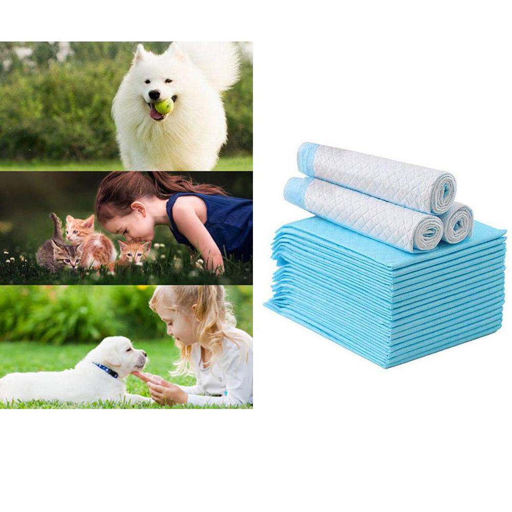 Super Absorbent Pet Diaper 20pcs/package