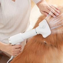 Portable 2-in-1 Pet Hair Dryer